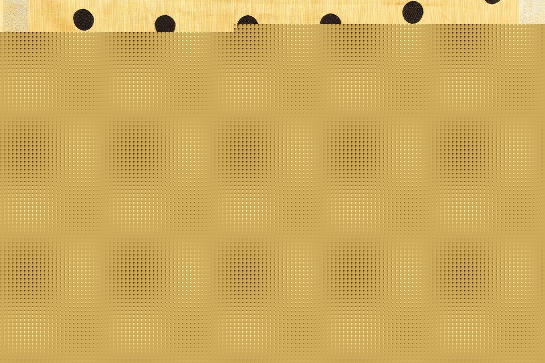 Ethnic Motifs Zari Woven Design Banarasi Saree