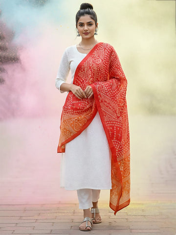 Elegant net dupatta featuring sequence detailing for a stylish and feminine finish.