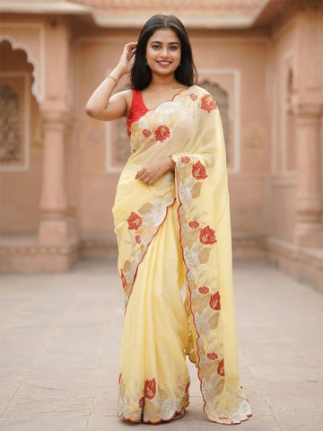 chiffon saree with embroidered border