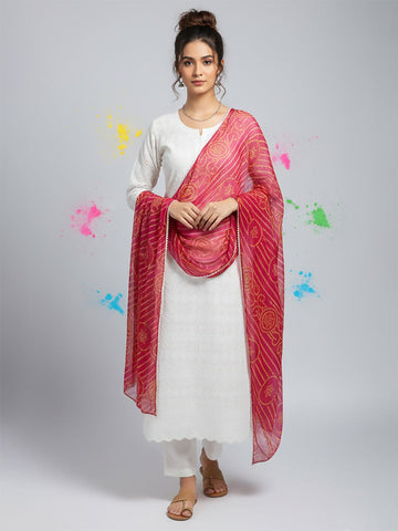 Elegant net dupatta featuring sequence detailing for a stylish and feminine finish.
