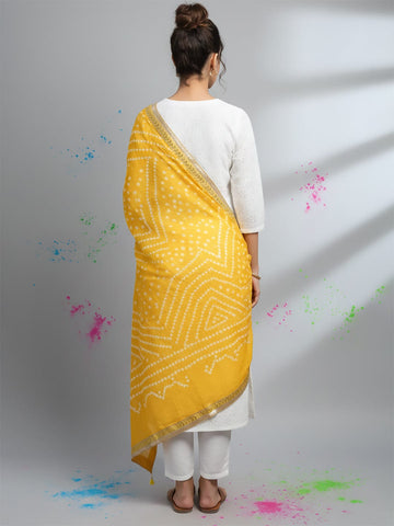 Elegant net dupatta featuring sequence detailing for a stylish and feminine finish.