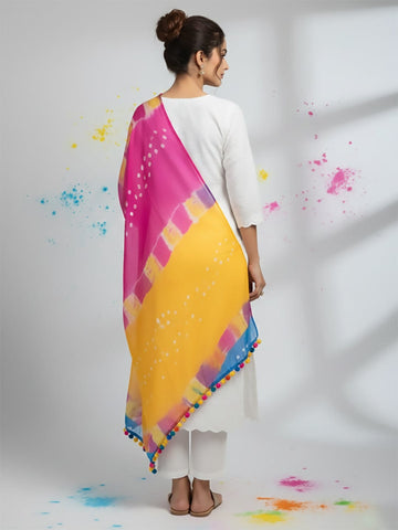 Elegant net dupatta featuring sequence detailing for a stylish and feminine finish.