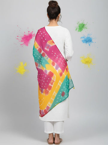 Elegant net dupatta featuring sequence detailing for a stylish and feminine finish.