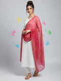Elegant net dupatta featuring sequence detailing for a stylish and feminine finish.