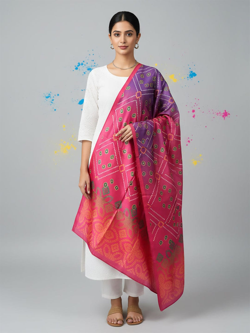 Elegant net dupatta featuring sequence detailing for a stylish and feminine finish.