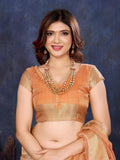 Ethnic Motifs Zari Woven Design Banarasi Saree